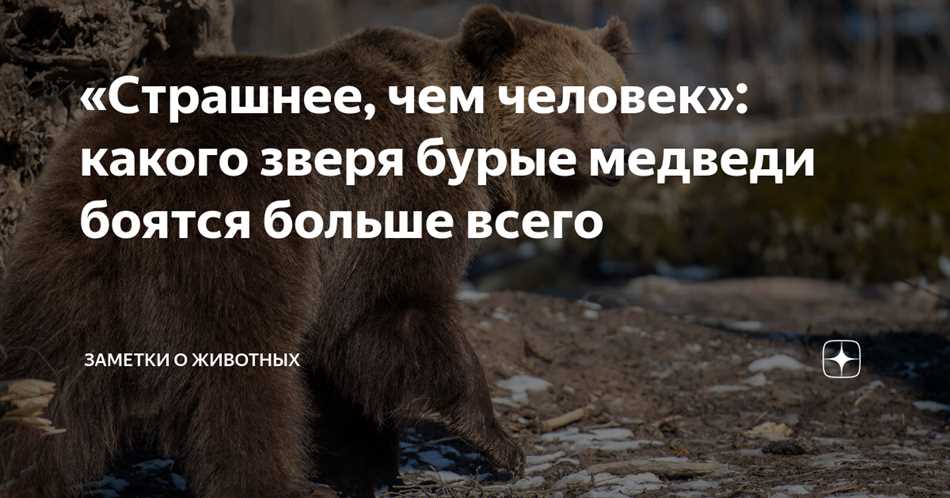 Огонь: страшный и прекрасный