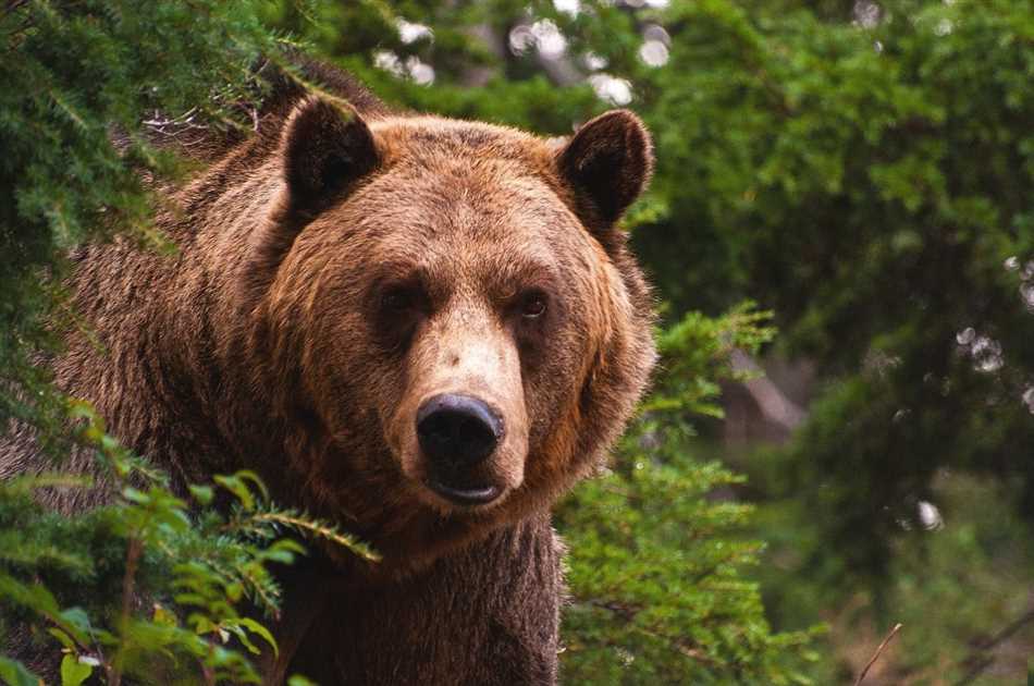 Изменения в привычной среде обитания