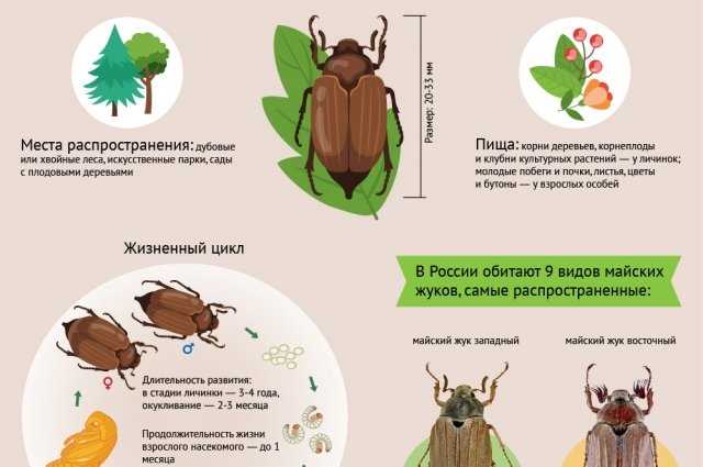 Главные угрозы среды обитания: