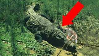 Воздействие крокодила на экосистему