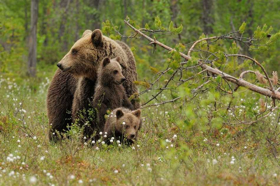 2. Используй шум, чтобы предупредить о себе