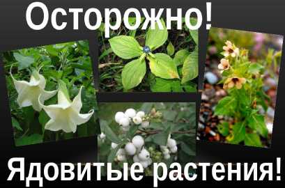 Мифы и заблуждения: расширение границ безопасности