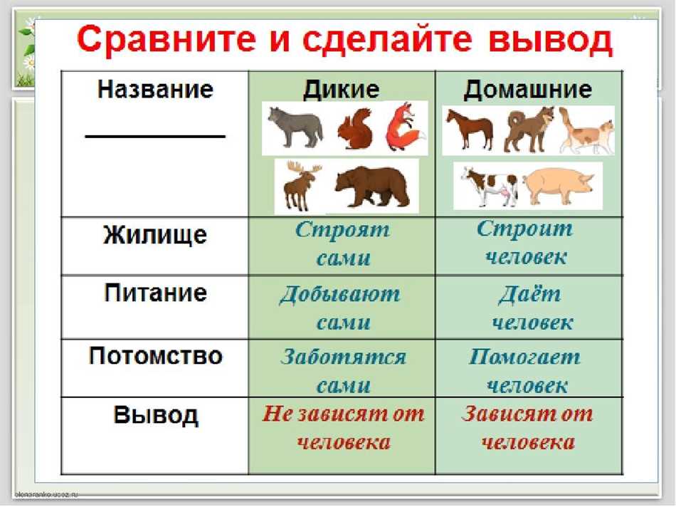 Раздел 2: Происхождение и место обитания домашних животных