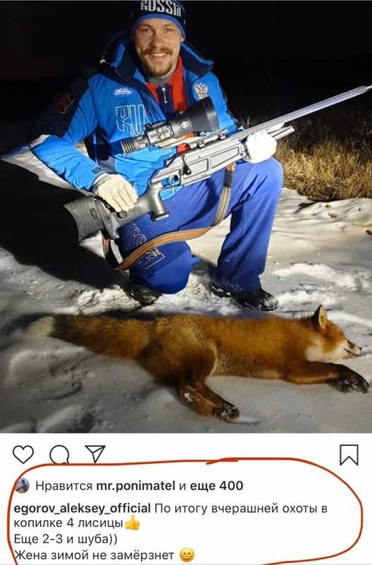 Охота и уничтожение лисы как контрольный метод