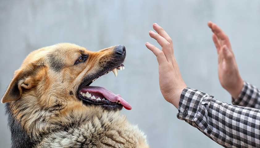 Обеспечьте безопасность