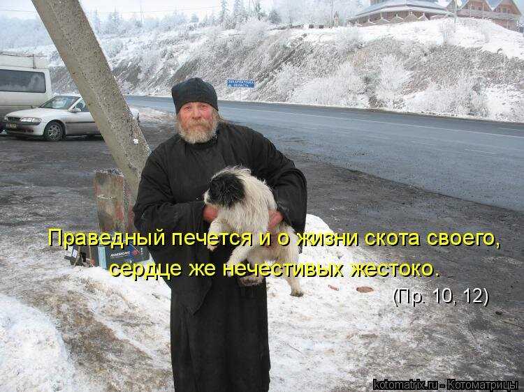 Библейские упоминания о животных