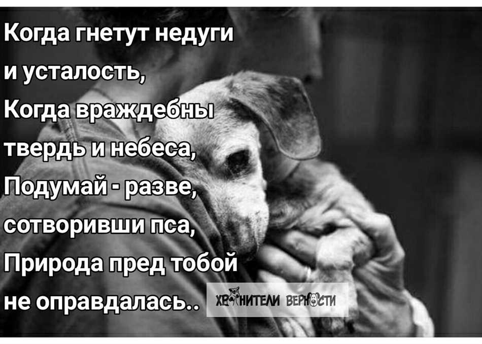 Змеи