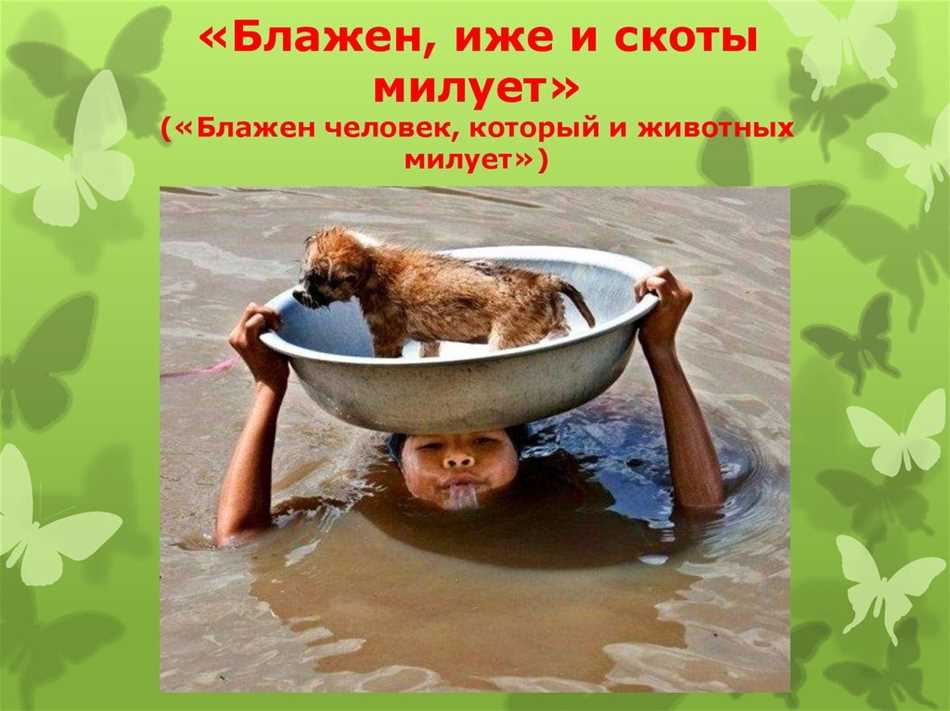 Что написано в Библии про животных?