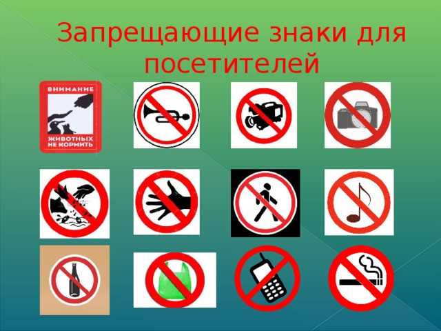 Кормить животных запрещено