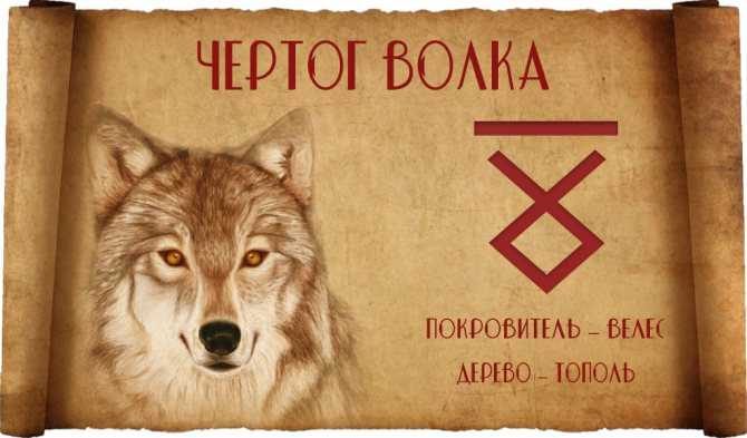 Происхождение и значение выражения 