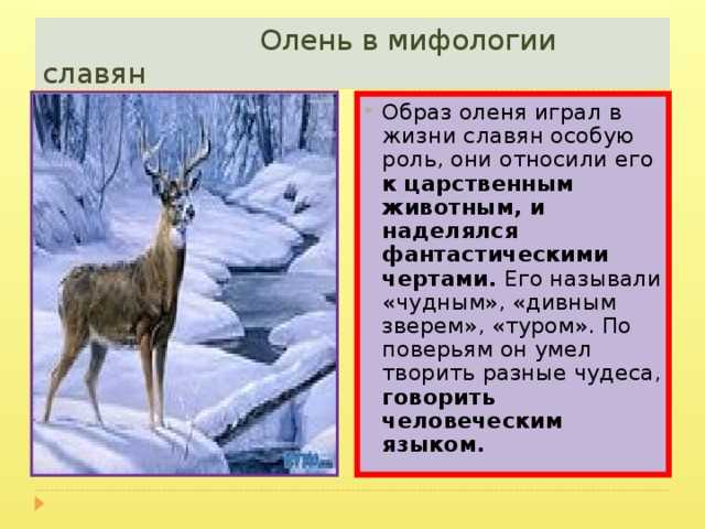 Что означает олень в древней мифологии?