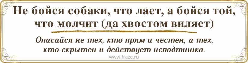 Что означает пословица не бойся собаки которая лает а бойся той которая молчит?