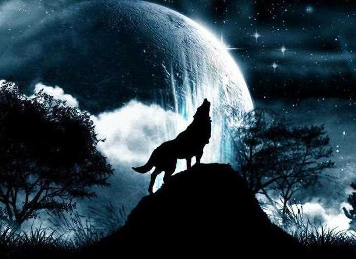 Что означает волк и луна?