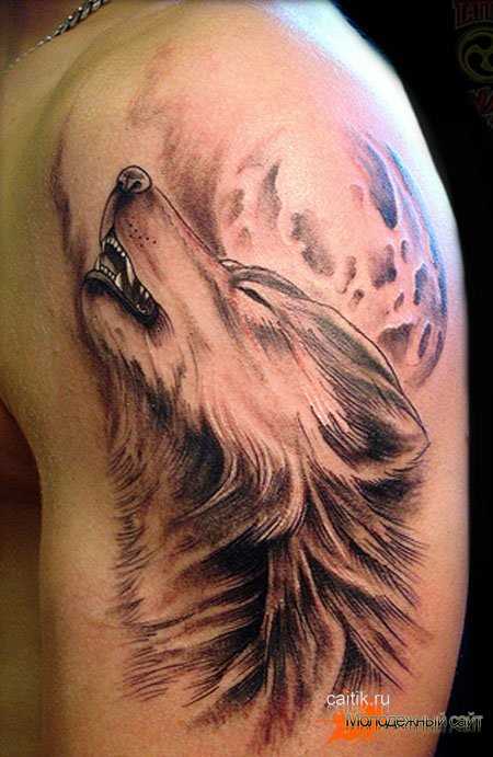 Первый волк: символ силы и власти