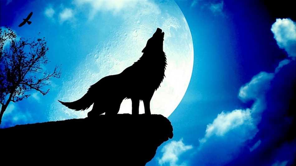 Третий волк: символ предательства и злости