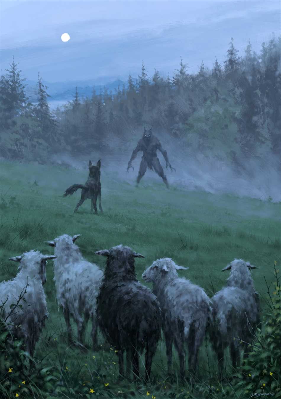 Овцы и волки: что эти выражения означают?