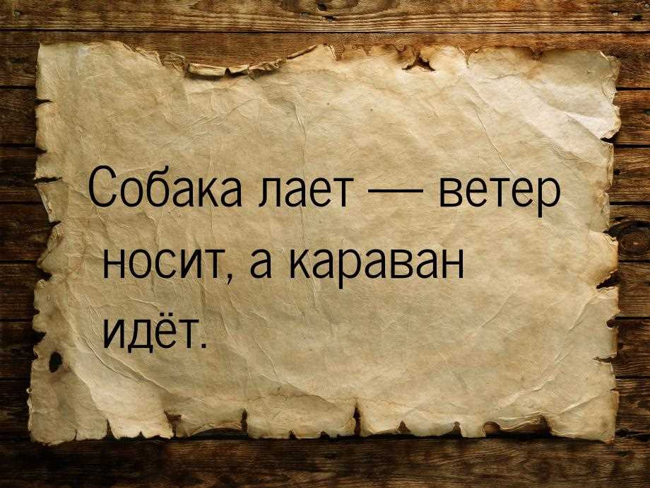 Что значит собака лает ветер носит?