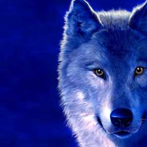 Упоминания о тотеме волка в древних славянских источниках