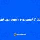 Едят ли зайцы мышей? Разбираемся с этим мифом