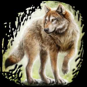 Определение чертога волка