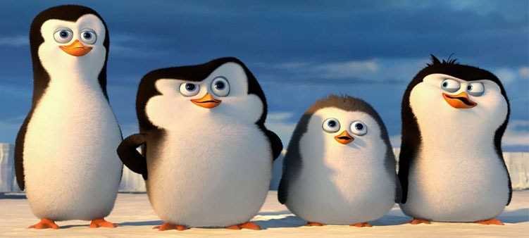 Где обитают пингвины на каком полюсе?