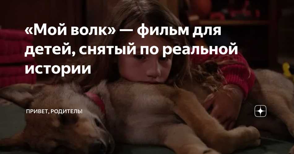 Где снимался фильм мой волк?