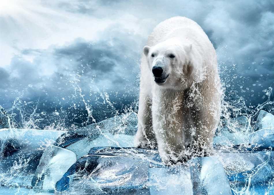 Белые медведи и их арктическое пристанище