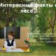 Интересные факты о лесе