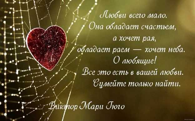 Как львы относятся к Водолеям?