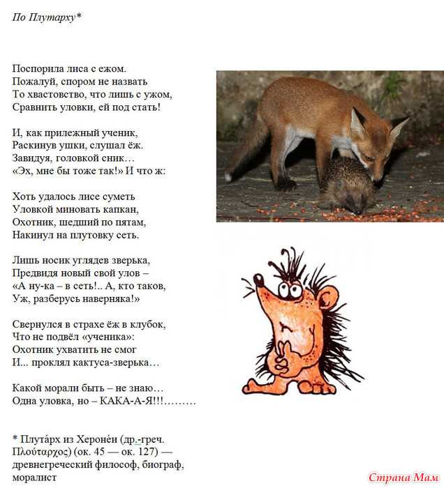 Уникальные имена для лисы
