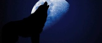 Как называется луна волка?
