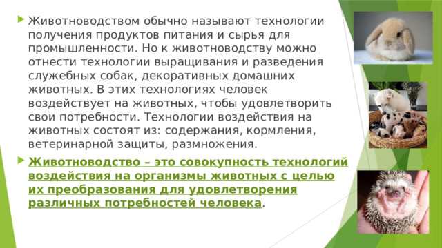 Природные заповедники как места разведения зверей