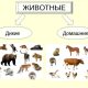 Место разведения зверей: как его называют