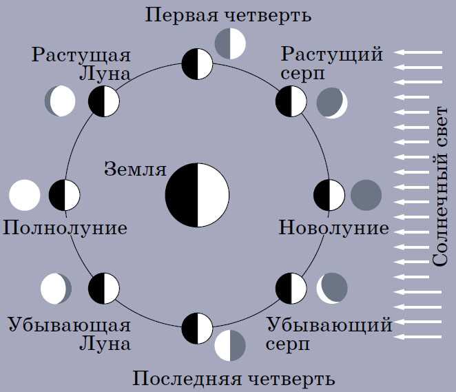 Тень луны на земле: объяснение феномена