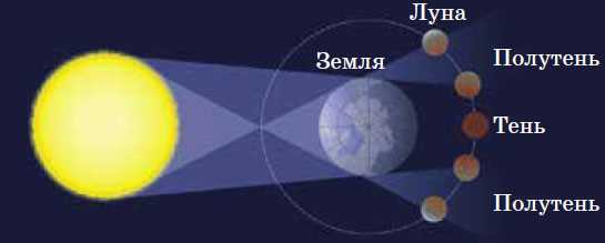 Влияние феномена затмений на окружающую среду и живые организмы