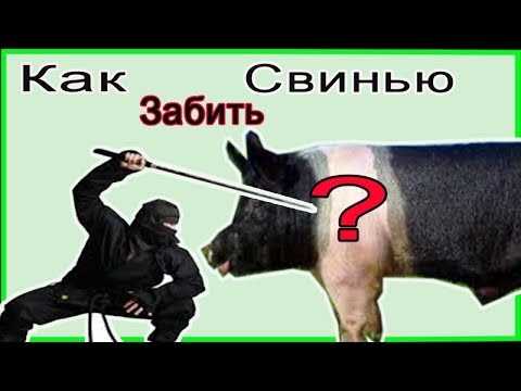 Названия в разных регионах