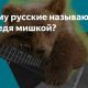 Как называют русского медведя?