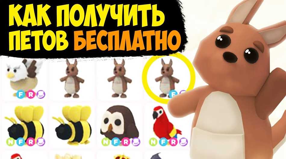 Раздел 5: Как ухаживать за петами и обеспечить их комфорт?