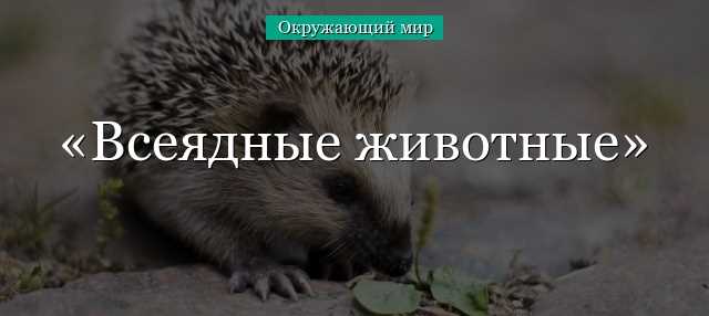 Раздел 1: Определение всеядных животных