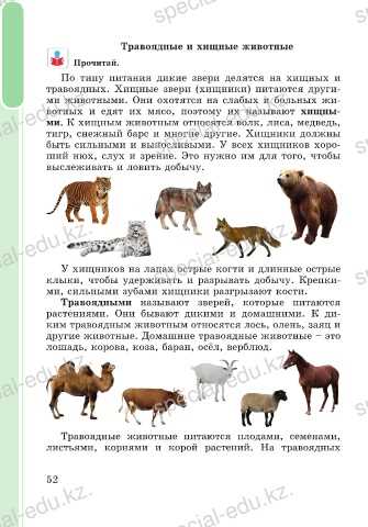 Раздел 2: Примеры всеядных животных