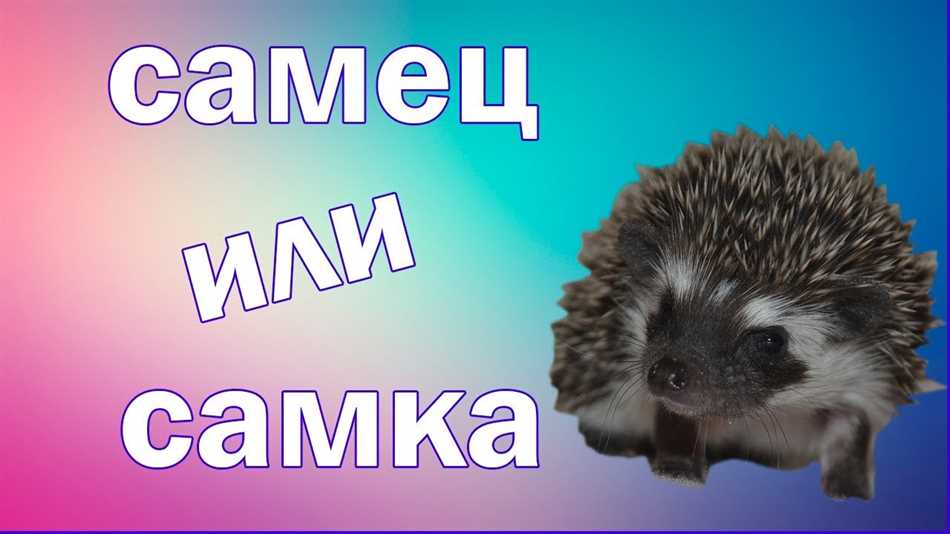 Учитывайте национальность