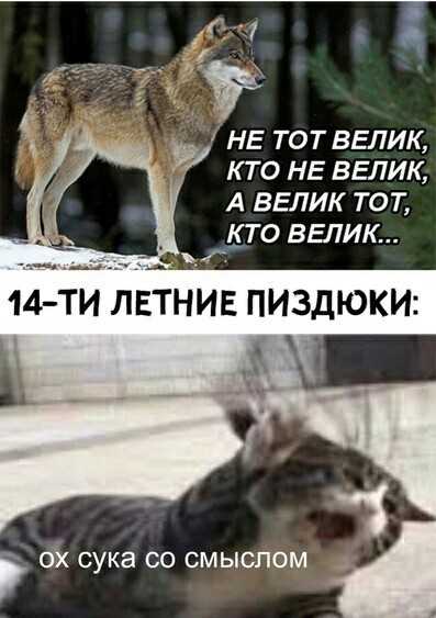Как правильно говорится цитата волк не тот кто волк а тот кто волк?
