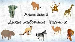 Как правильно пишется лесные звери?