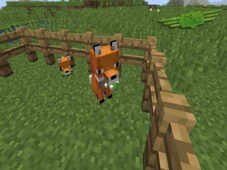 Особенности лиц Minecraft