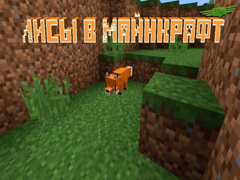 Механика приручения лисы в Minecraft