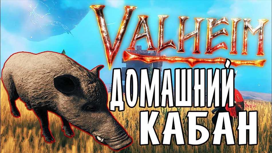 Подготовьте необходимое оборудование