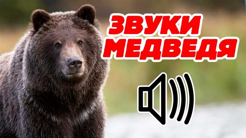 Рычание как средство общения