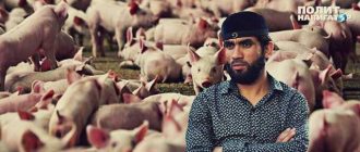 Как называется запрет на поедание свинины в исламе