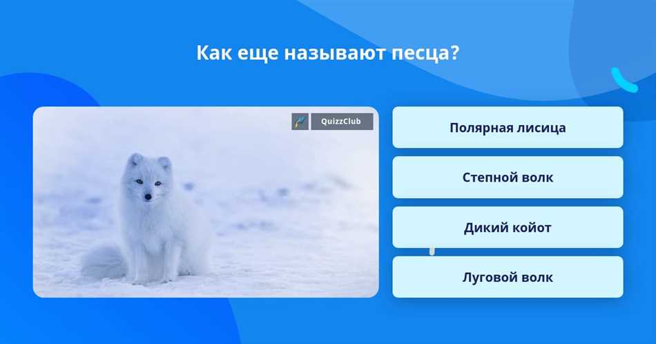 Шилонос