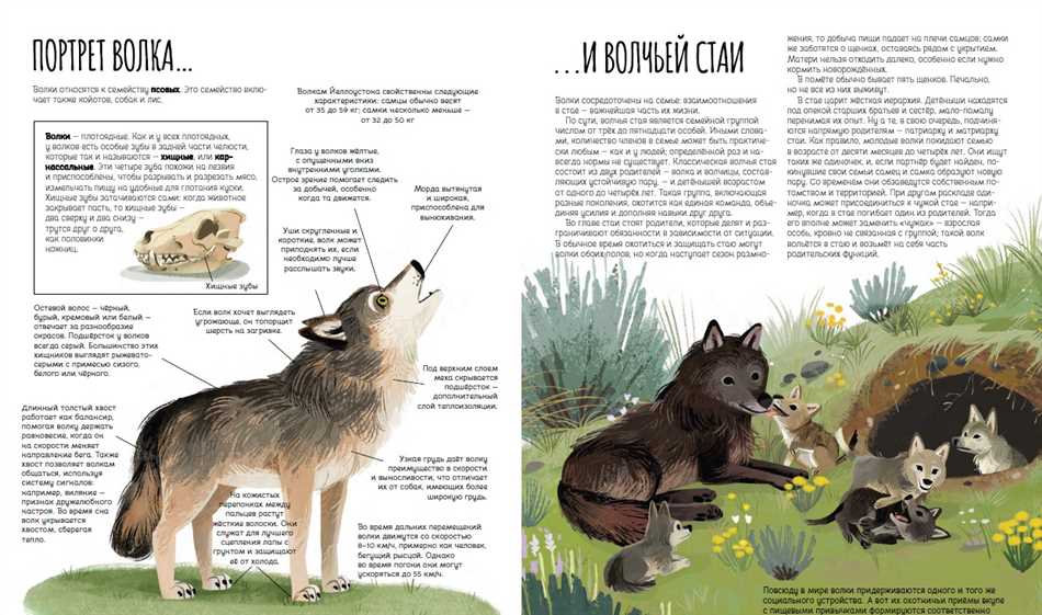 Влияние волков на биоразнообразие